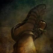 Shaun Bangert's photo
