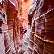 Neal Clay's photo