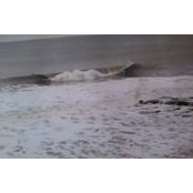 John Oleary's photo