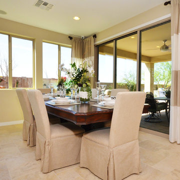 Intrigue @ Marbella Vineyards | Gilbert, AZ | 4094 - Entice Plan