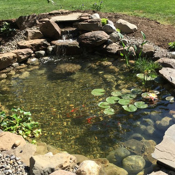 Reston Pond Renovation