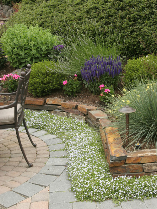 Best Bark Mulch Ground Cover Design Ideas & Remodel Pictures Houzz