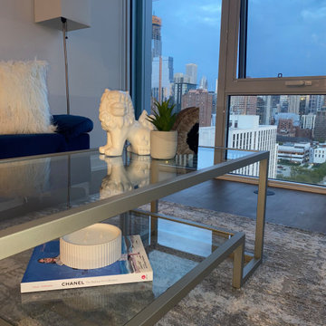 Downtown Chicago City View Condo