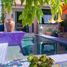 Back Yard And Patio