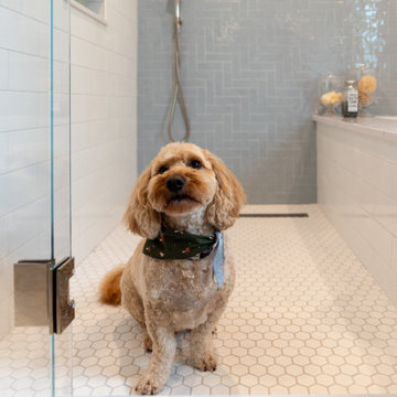 Evanston Primary Bath Transformation