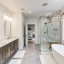 2022 - Master Bathroom Tub & Shower Reno Ideas