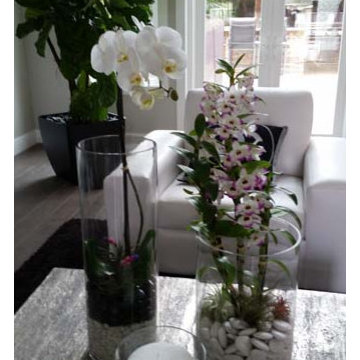 Terrariums