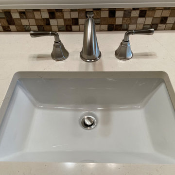 MASTER BATHROOM - Remodel Shower / Tub / Vanity Counter 12 x 24 Tile / Quartz