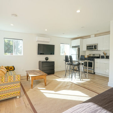 Modern Home Remodel - Los Angeles