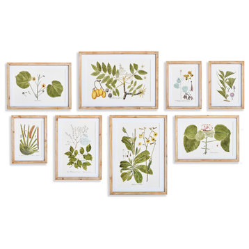 Flora And Fauna Gallery Prints, Set of 8