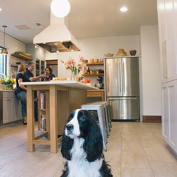 NE Portland Remodel: Disco Kitchen