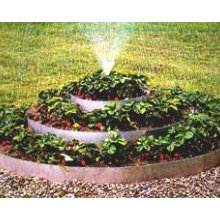 Gardening Ideas