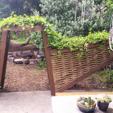 Passion Fruit Arbor
