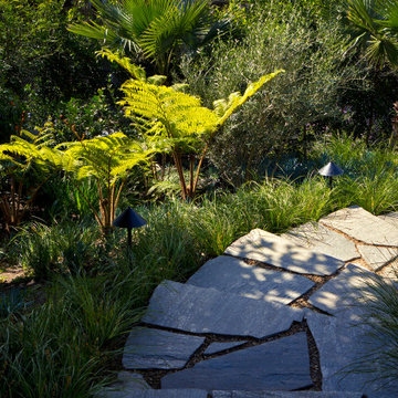 Mt Olympus Stylish Urban Oasis
