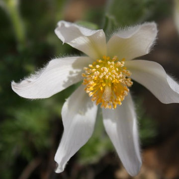 Privatgarten E.