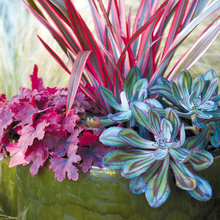 container pots