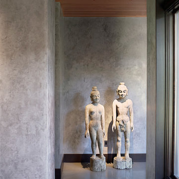 Marin County, Venetian Plaster