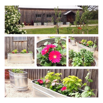 Herb Garden in Water Troughs for BannockBurn 1878...