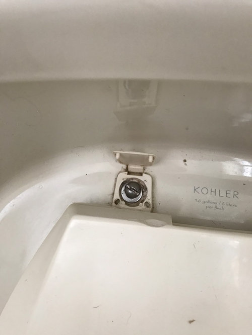 Help How To Remove A Frozen Toilet Seat No Bolt Underneath - Kohler Toilet Seat Removal