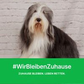 Katarina Landström's photo