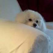 Vicki Stark's photo