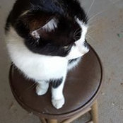 Foto di Freda Cornett