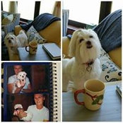 DaisiMae Harrod's photo