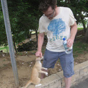 Joe Wilkie's photo