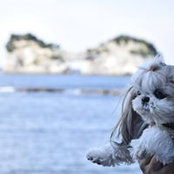 Erin Yumeno's photo
