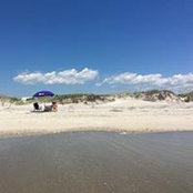 Kim Ferguson's photo