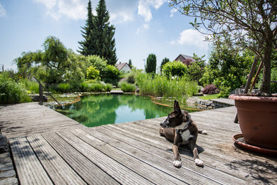 Traditional pool in Stuttgart with decking.