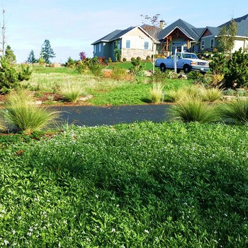 High Tech Turf Renovator Technology To YOU !