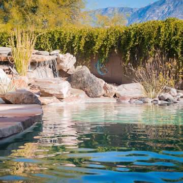 Custom Pools, Stream, Water Feature