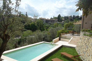 Exemple d'une piscine nature.