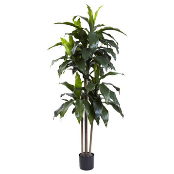 5' Dracaena Plant UV Resistant, Indoor and Outdoor