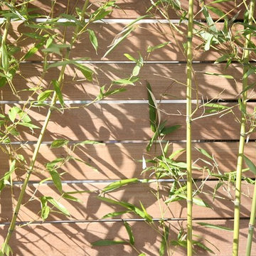 Bamboo light and shadow play