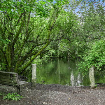 The Marcello | Mercer Island