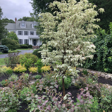 Heart Garden