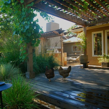 North Los Altos Backyard Entertainment
