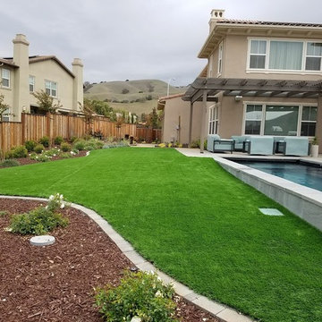 Backyard Remodel