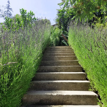 Sherman Oaks Hillside
