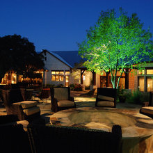 Exterior Ideas