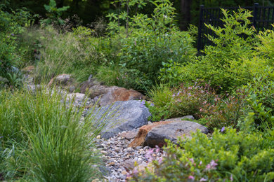 Design ideas for a transitional landscaping in Other.