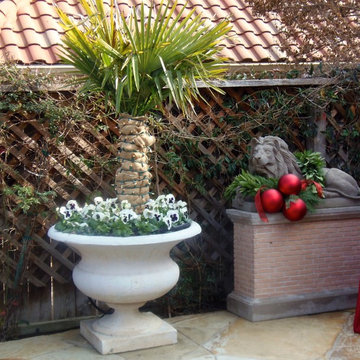 Christmas Party & Home Decor