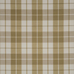 Laguna Celery Ticking Fabric