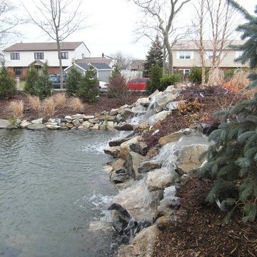 pond