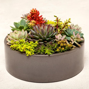 Concrete Planters