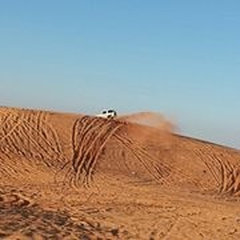 alshamrani