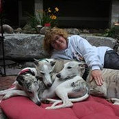 Laurie Koudys's photo