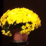 Anjana Rajendran's photo